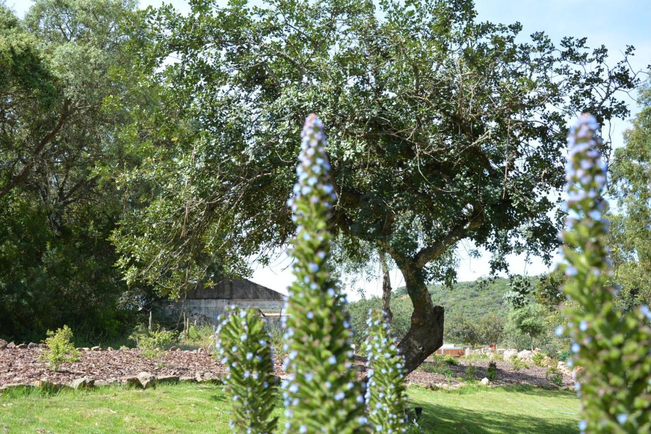 Benafim Quinta Do Freixoヴィラ エクステリア 写真